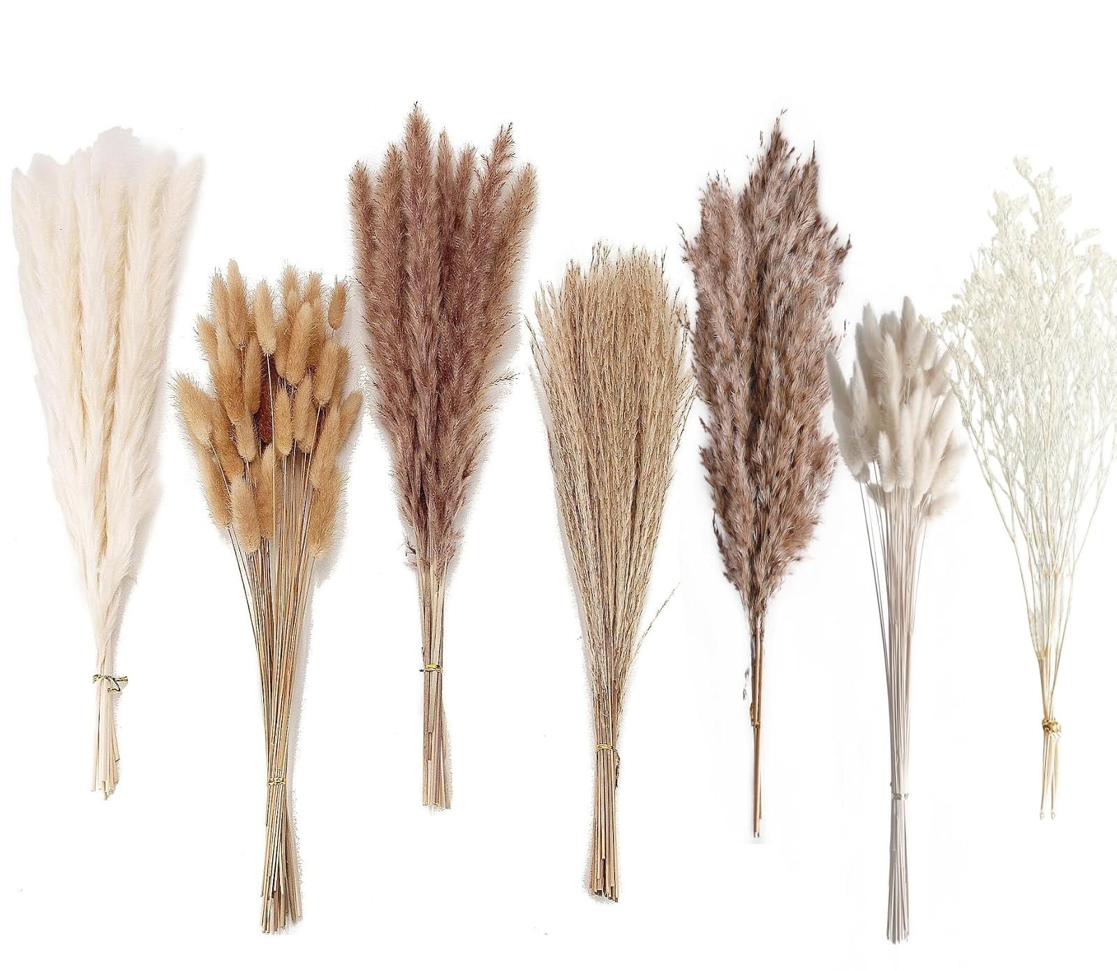 Natural Dried Pampas Grass Decor – 100 PCS for Boho Wedding & Home