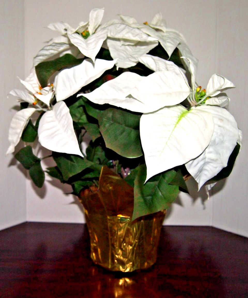 Winter/Christmas Silk Table Top White Poinsettia Plant-Approximately 18″ X 16″
