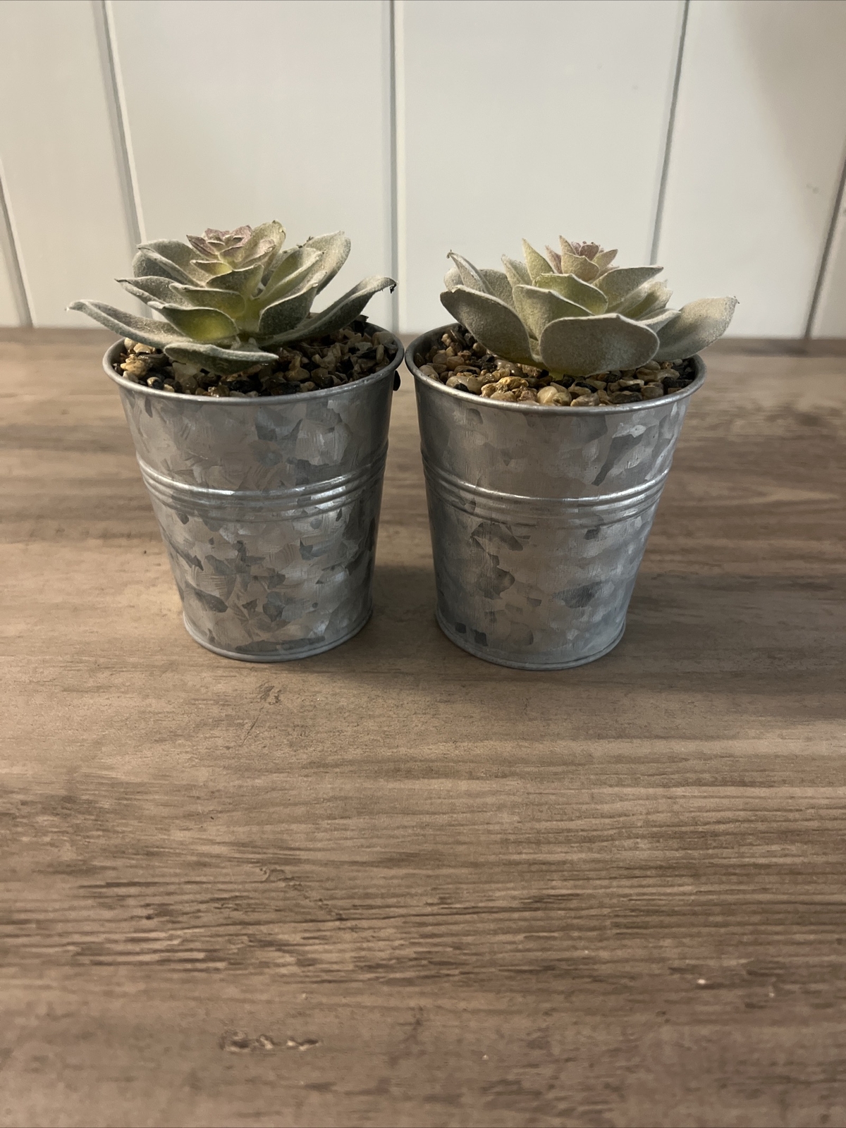 Fake Plants