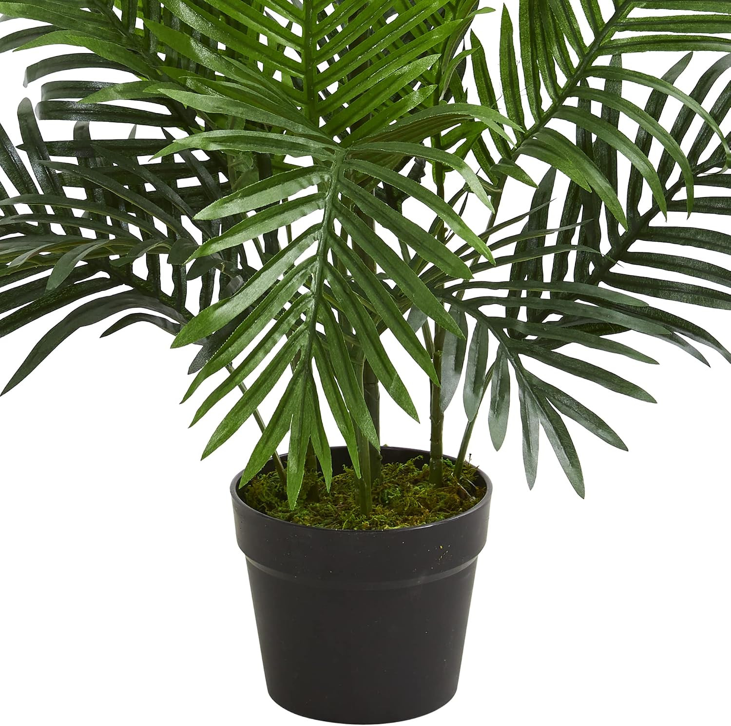 3 Ft Artificial Paradise Palm Tree with Nursery Pot | Lush Realistic Fronds, Mul