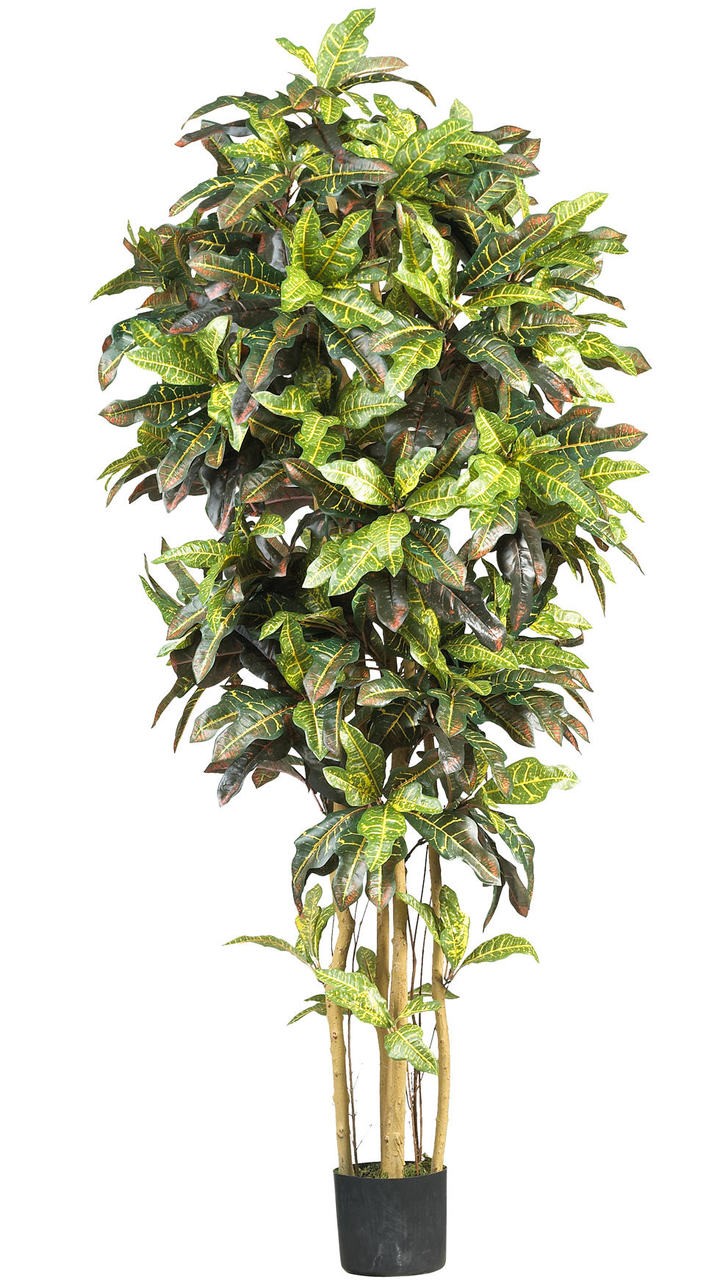 HIGH QUALITY 6′ SILK CROTON TREE REALISTIC ARTIFICIAL FAKE BAMBOO