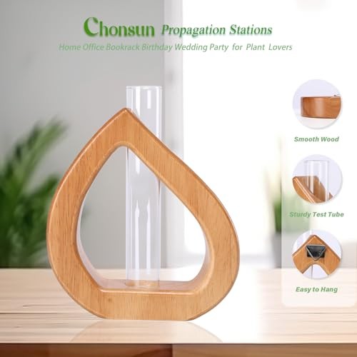 Propagation Stations Planter Terrariums Wall Hanging Test Tube Desk 5.3*5.9IN