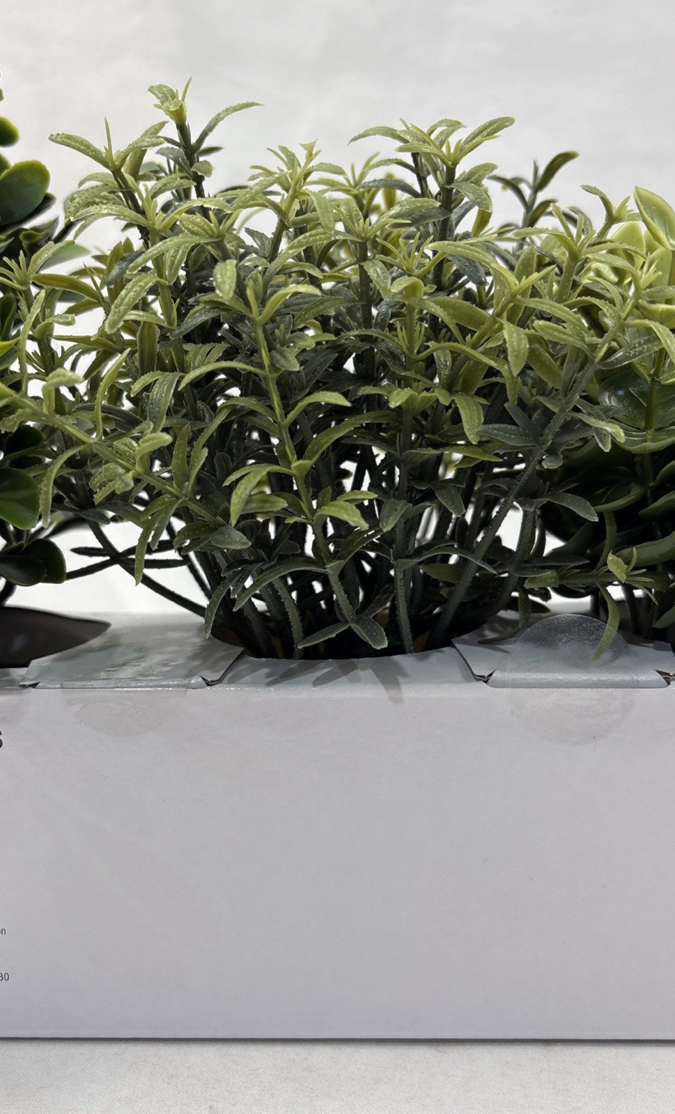 Room Essentials Three Herb Artificial Plants in White Pots. New