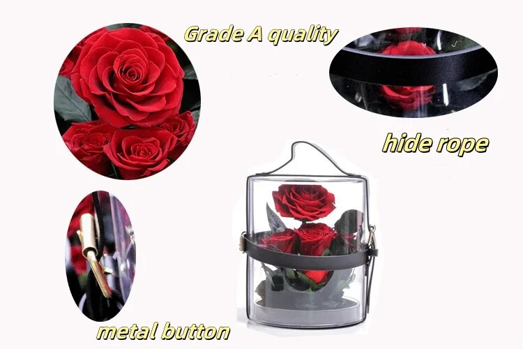 Eternal Red Rose in Secret Garden Acrylic Box – Preserved Flower Gift