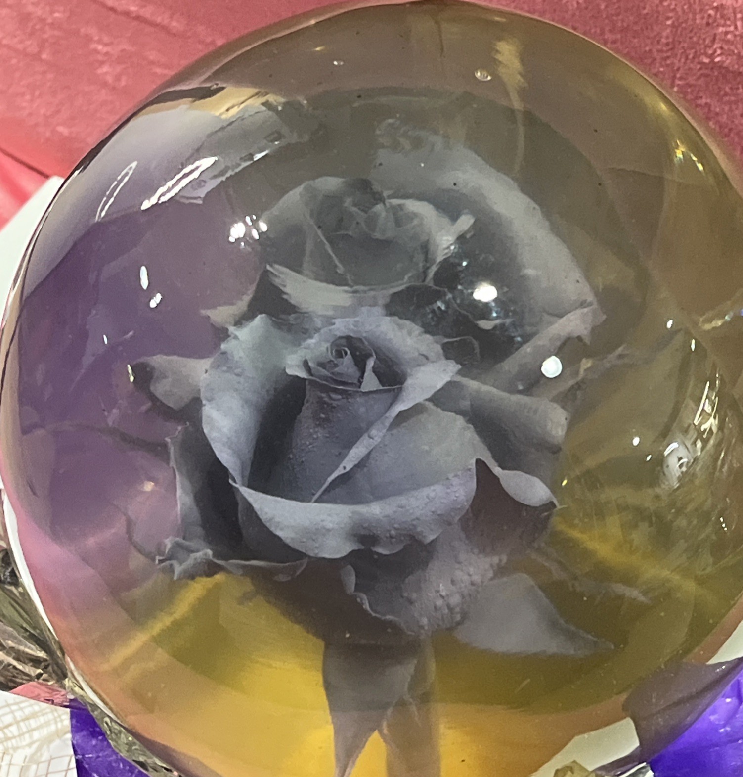 Vtg. Purple Eternal Rose Real Preserved Rose Ball In Water Dome/Globe; Lg 6”-7”