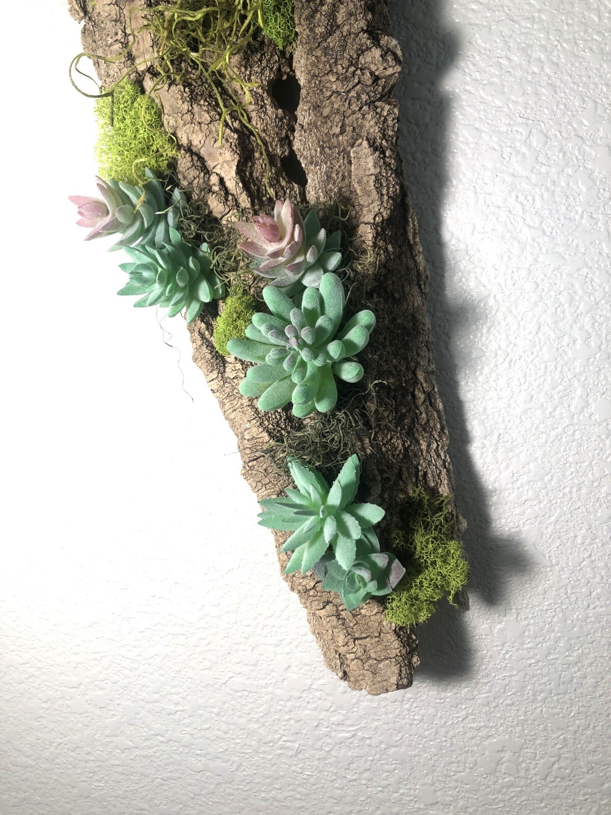 Artificial Succulent Air Plant Wall Art Home Office Mounted on Real Wood Bark