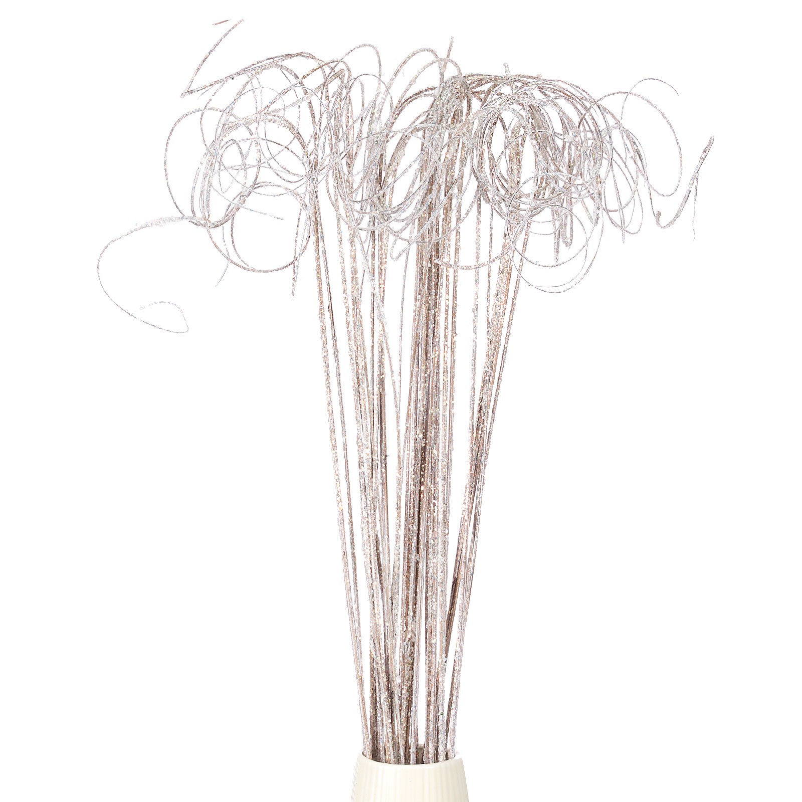 30Pcs, Glitter Dried Curly Willow Branches Natural Branches Twigs White