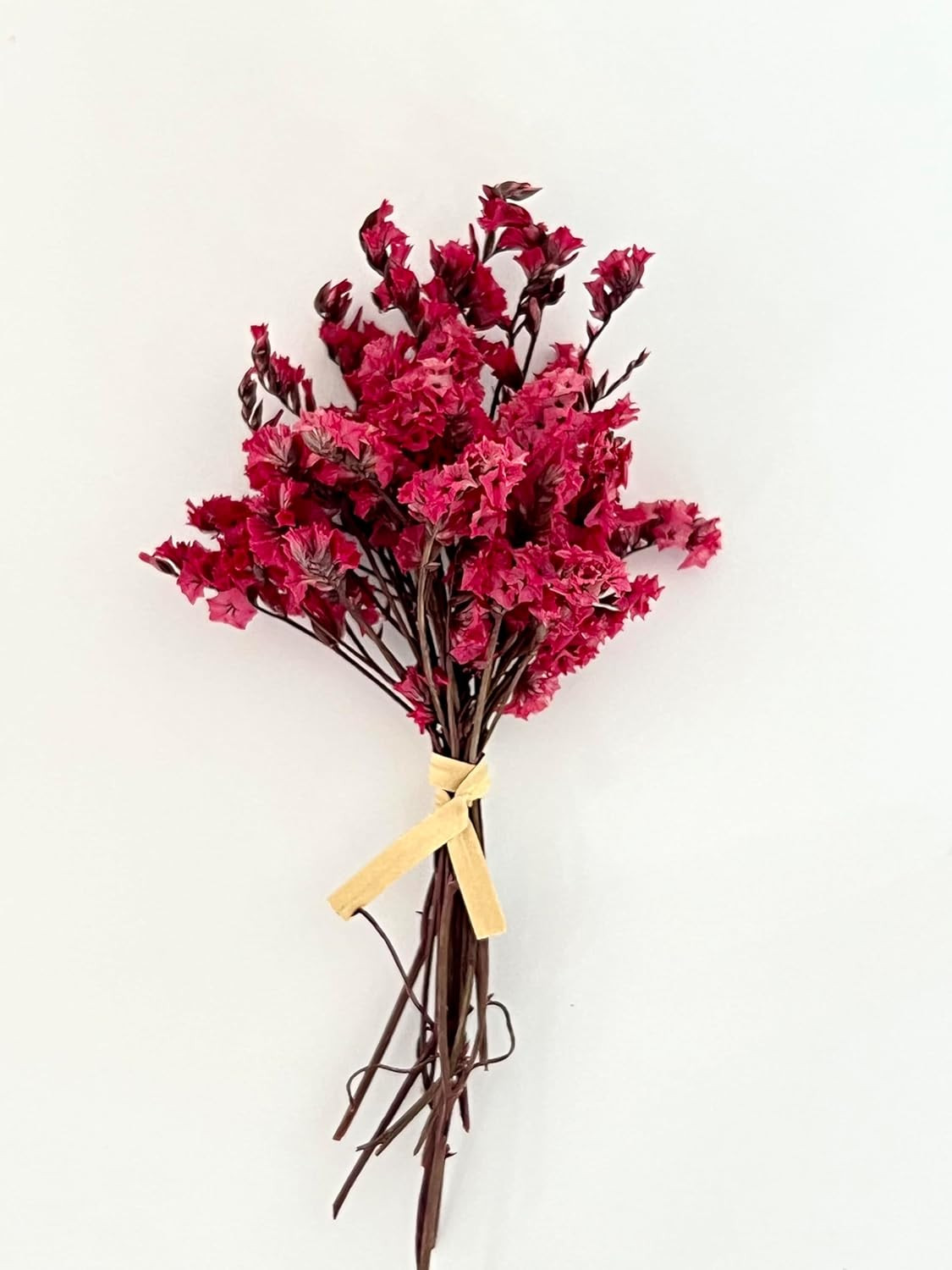 10Pcs Mini Dried Flowers Bouquet, Mixed Natural Dried Flowers Gypsophila Bouquet