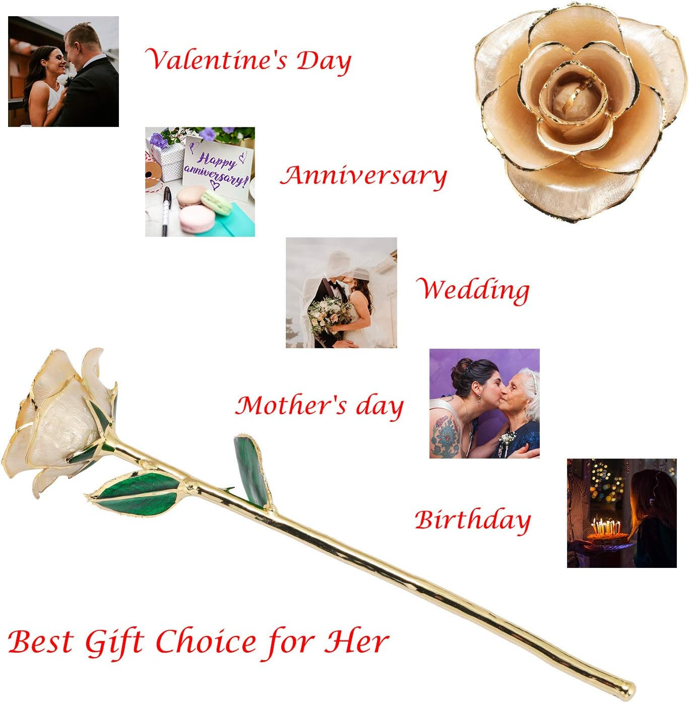 24K Gold Dipped Rose, Gold Dipped Rose Made from Real Rose Best Gifts for Her an