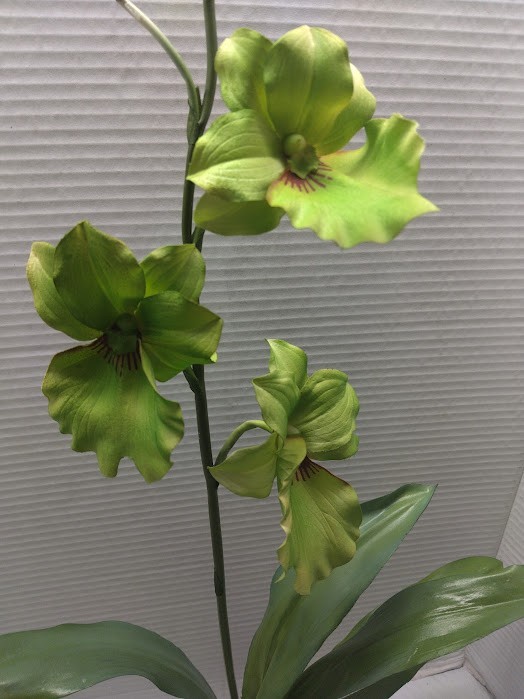 ARTIFICIAL miltoniopsis orchid plant