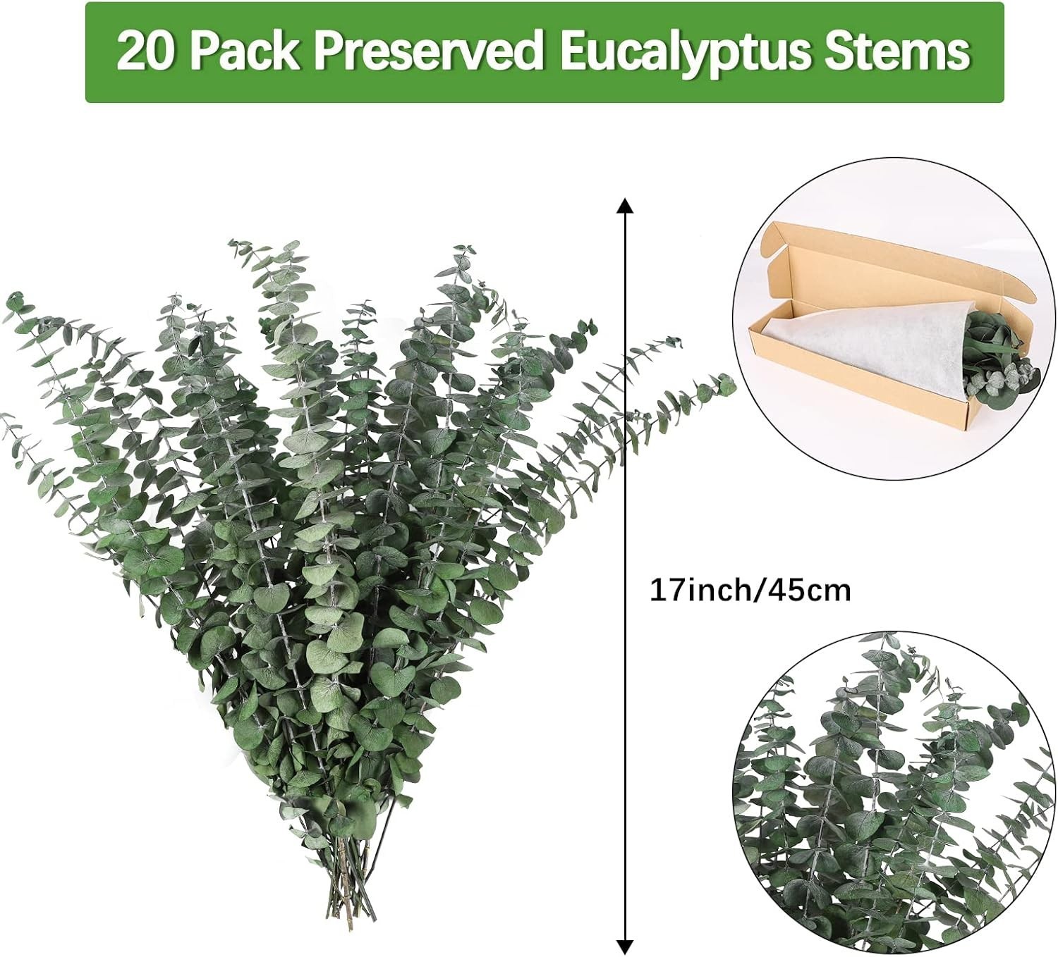 Real Dried Eucalyptus Stems, 20PCS Preserved Eucalyptus Plant 17inch Fresh Eu…