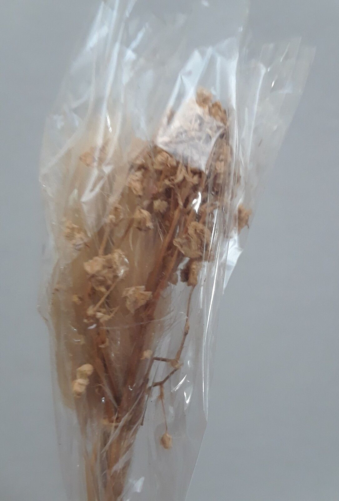 Dry Flower Decor Dried Flower Decor Bouquet Reusable Dried Floral Lot of 20