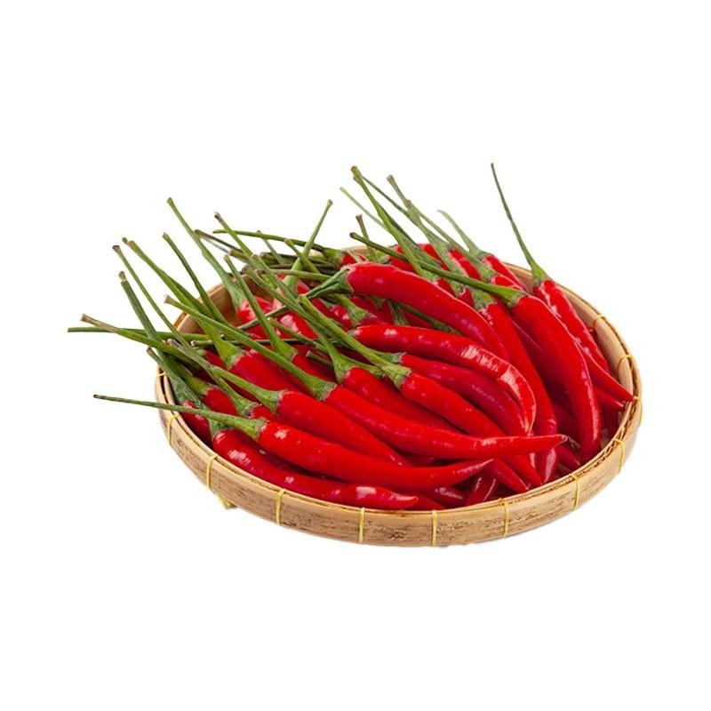 Thai Hot chili pepper Red Heirloom Spicy Asian Cuisine Bangkokx5