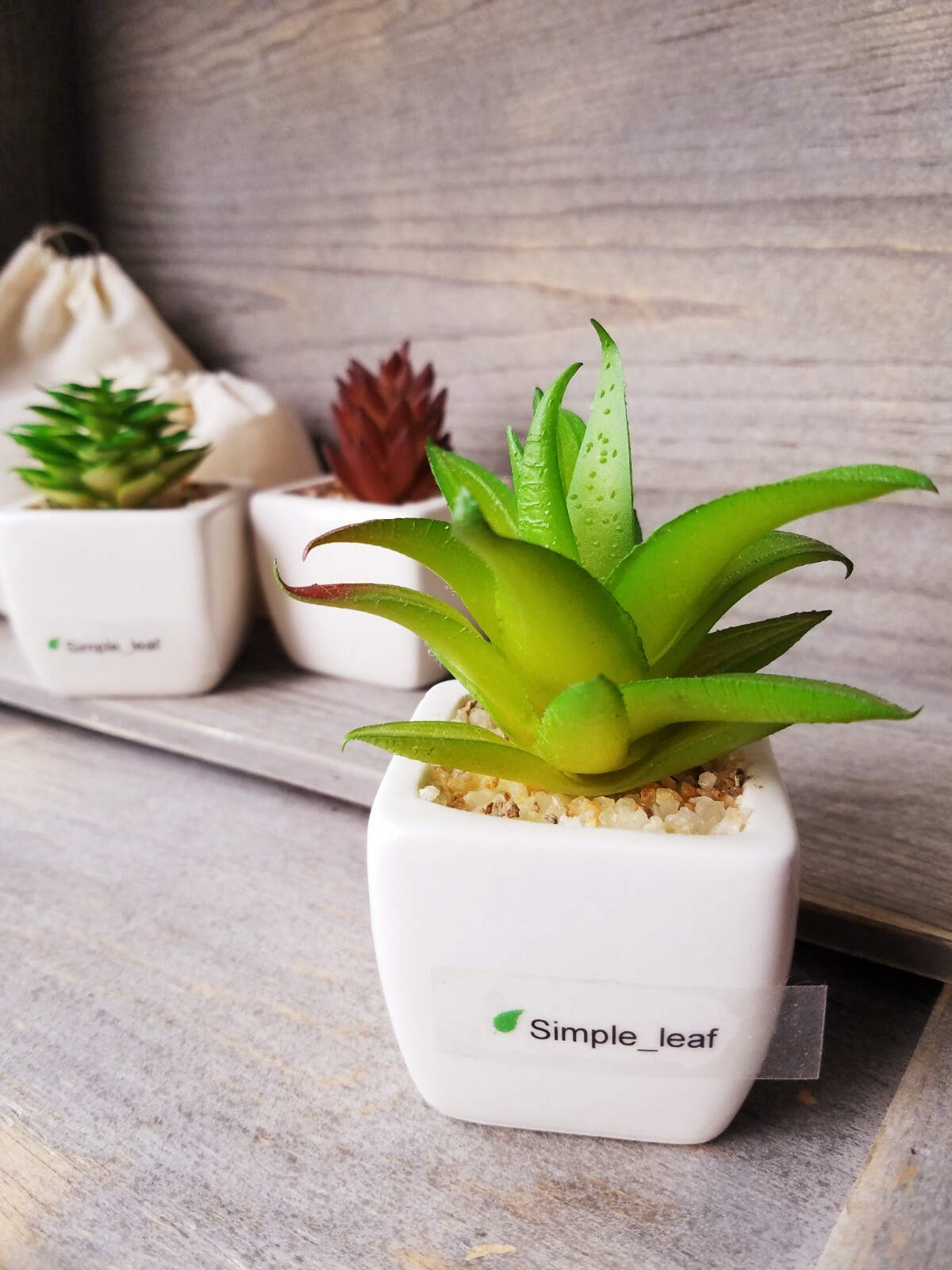 Decor Set – 3 Potted Artificial Succulent, Dried Grass Bouquet in Glass Bottle