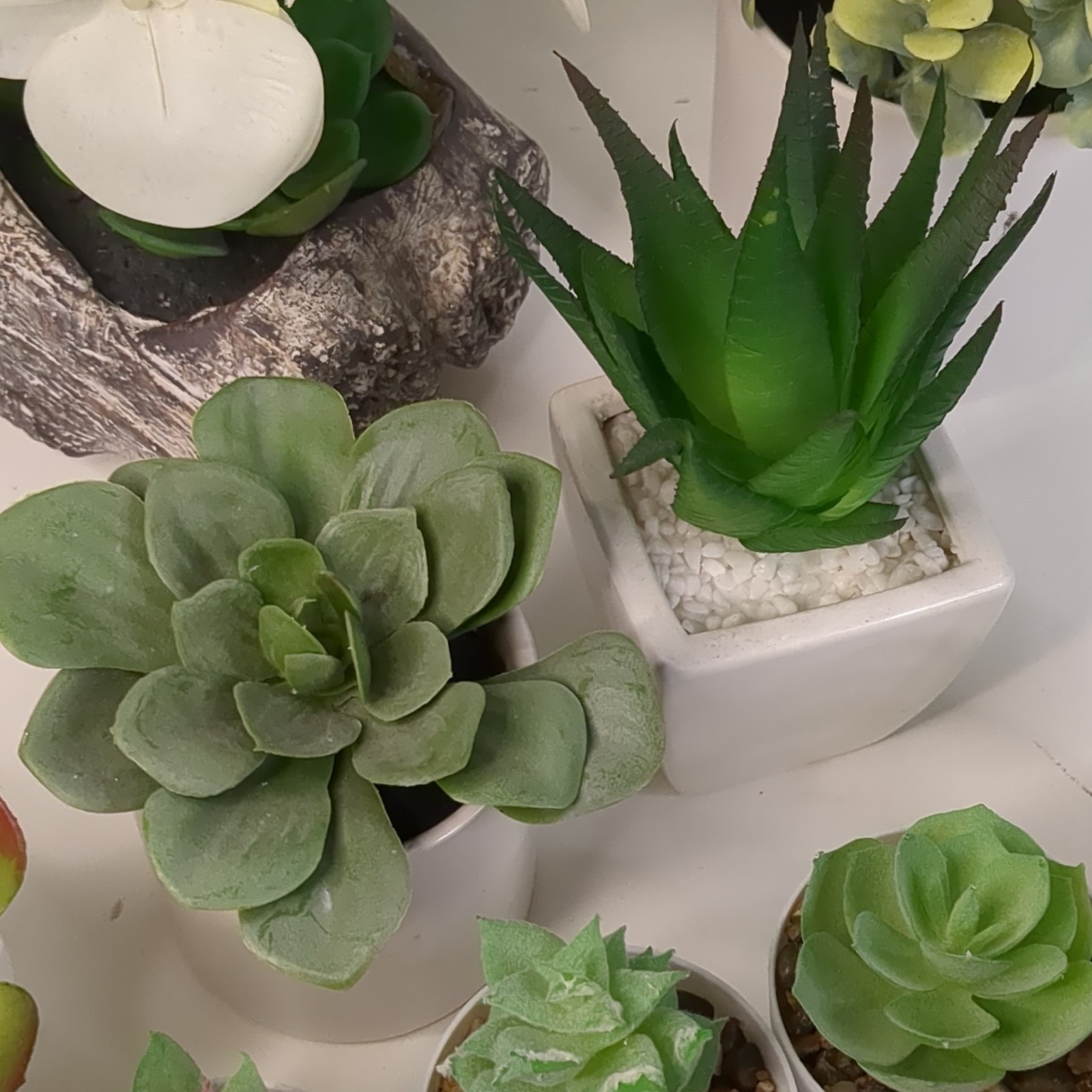 10pc Faux Succulent Plant Lot Artificial Home Office Decor Bundle