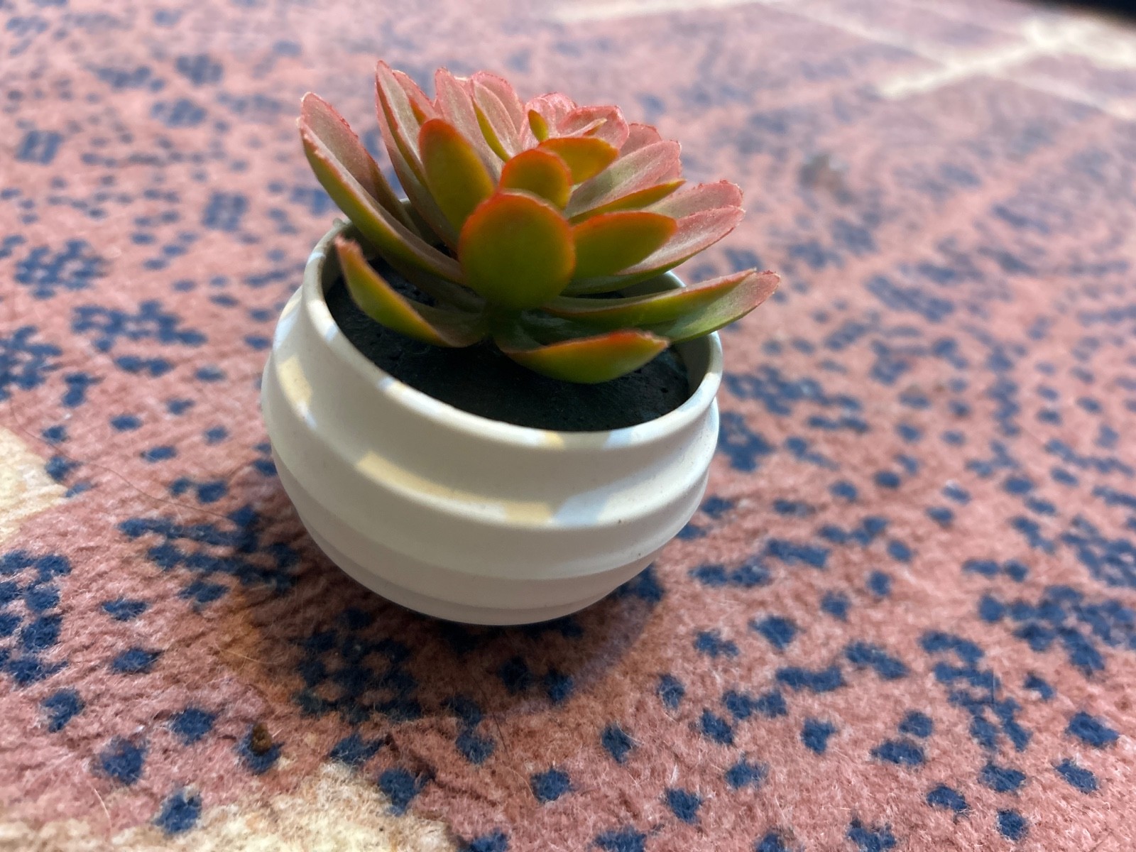 Artificial succulent plant for decoration