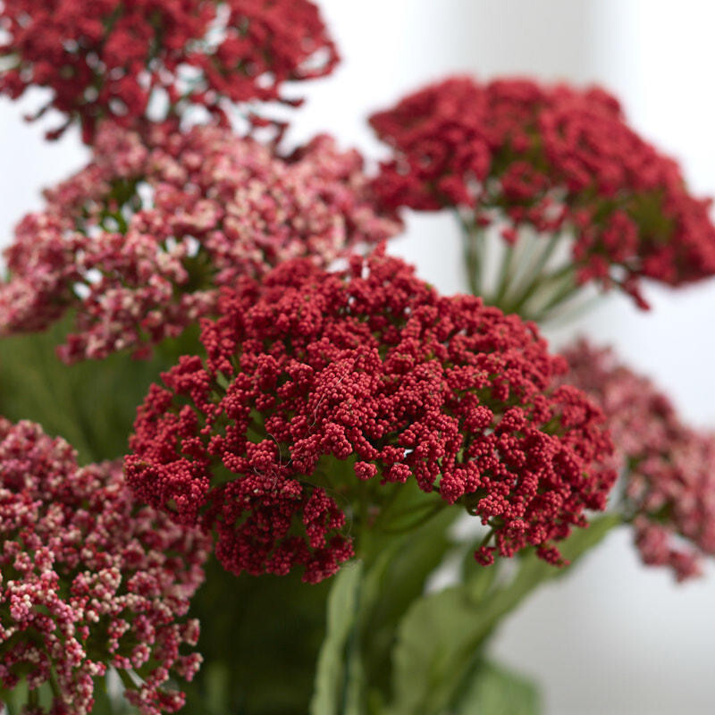Rose and Pink Artificial Queen Anne’s Lace 17″ tall Bush