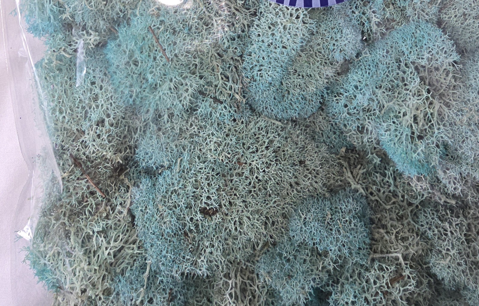 Super Moss Preserved Reindeer Moss 2 Bags #25128 Royal Blue 120 in3/bag