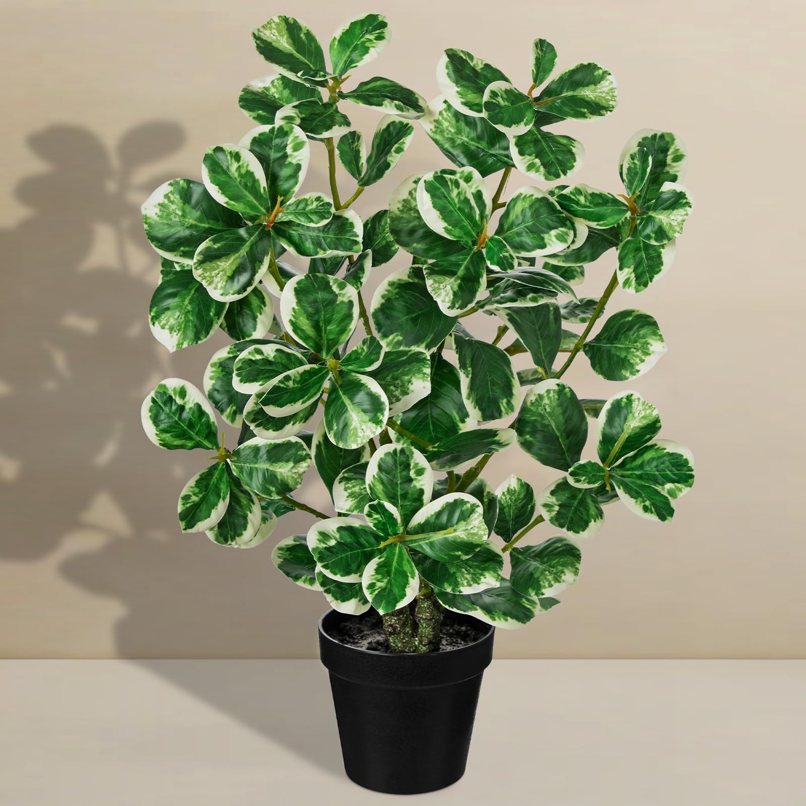 Artificial Rubber Tree Plant Black Pot Faux Ficus Cream White Edge 20 Inch