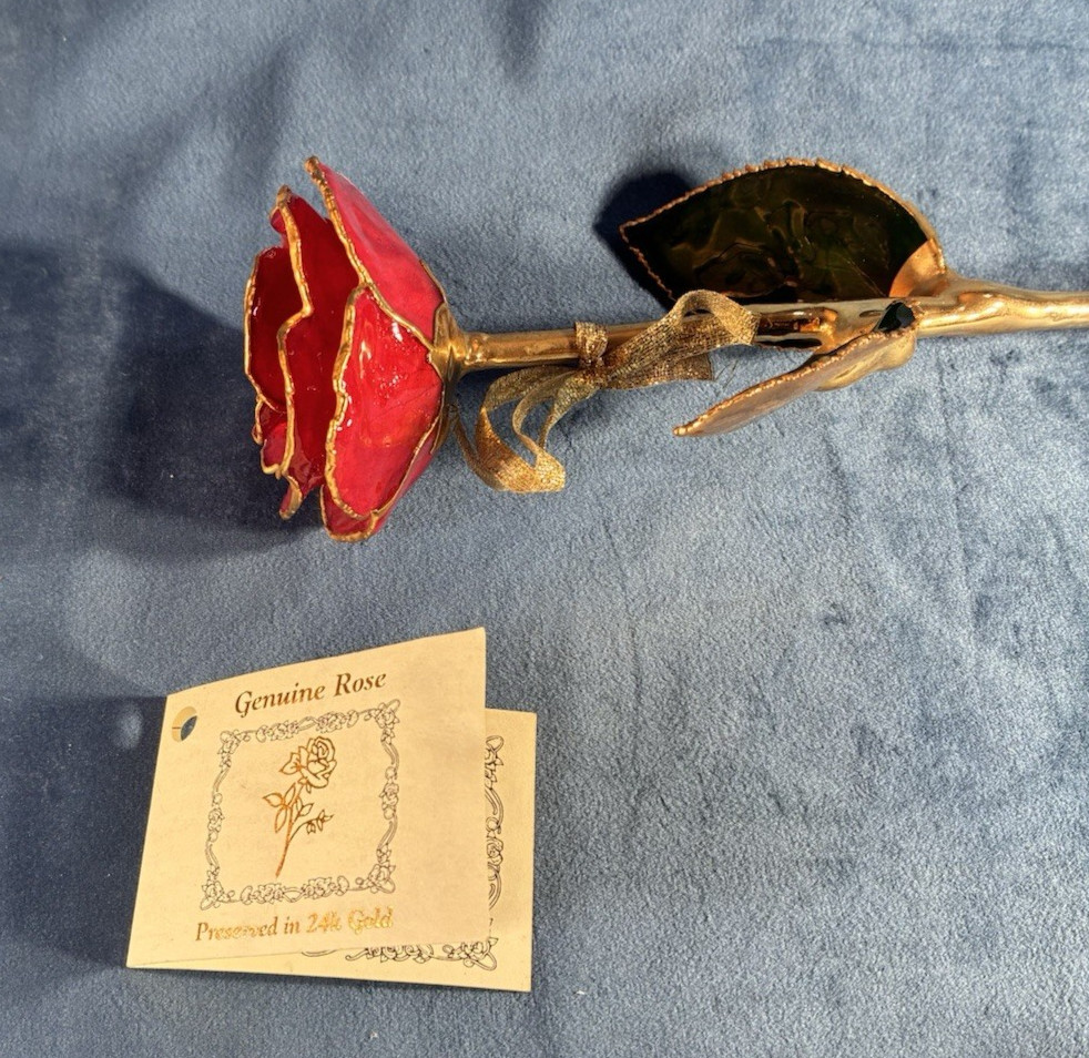 24k & Enamel Preserved Real Red Rose With Forever Keepsake