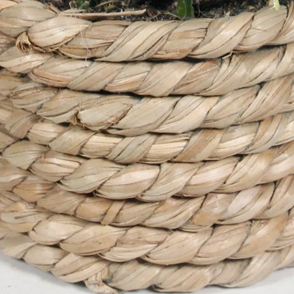 Green Artificial Potted Plant Eucalyptus Grass 11cm Artificial Plants Plastic