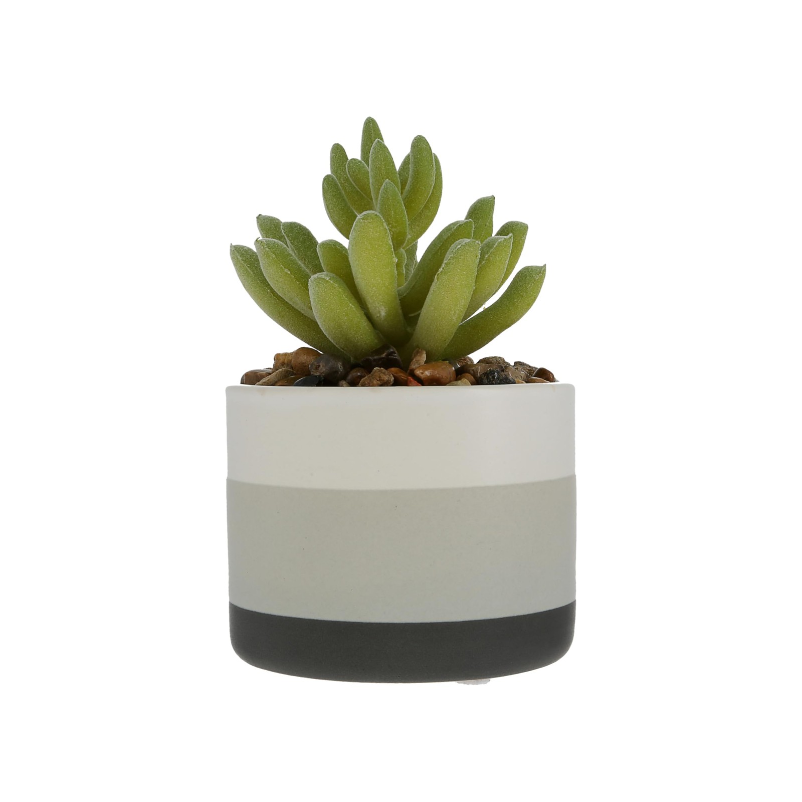 – SUCC-sess in Retirement – 5″ Artificial Plant Retirement Retired Retiree Re…