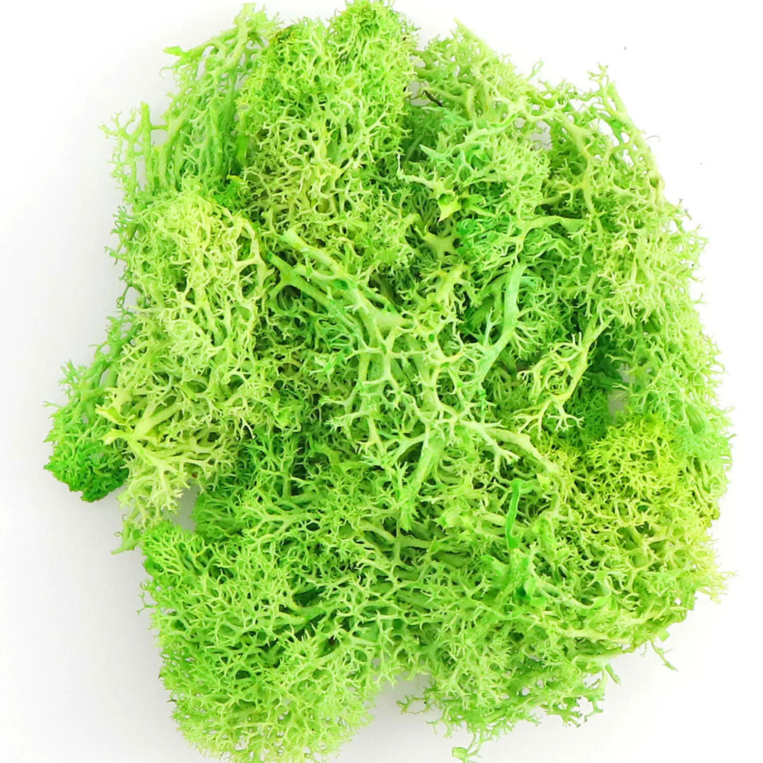 20g Artificial Green Moss Plants Fake Grass Eternal Life Grass Mini Landscape