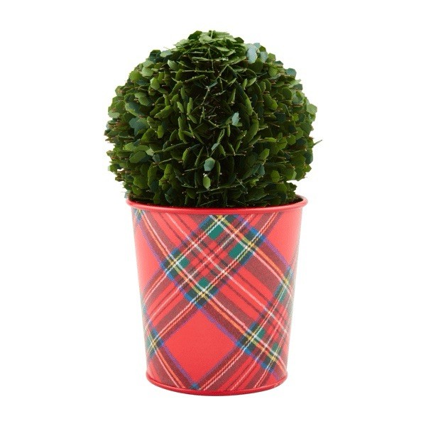 Mud Pie Large Boxwood Tartan Botanical Potted, Dark Green
