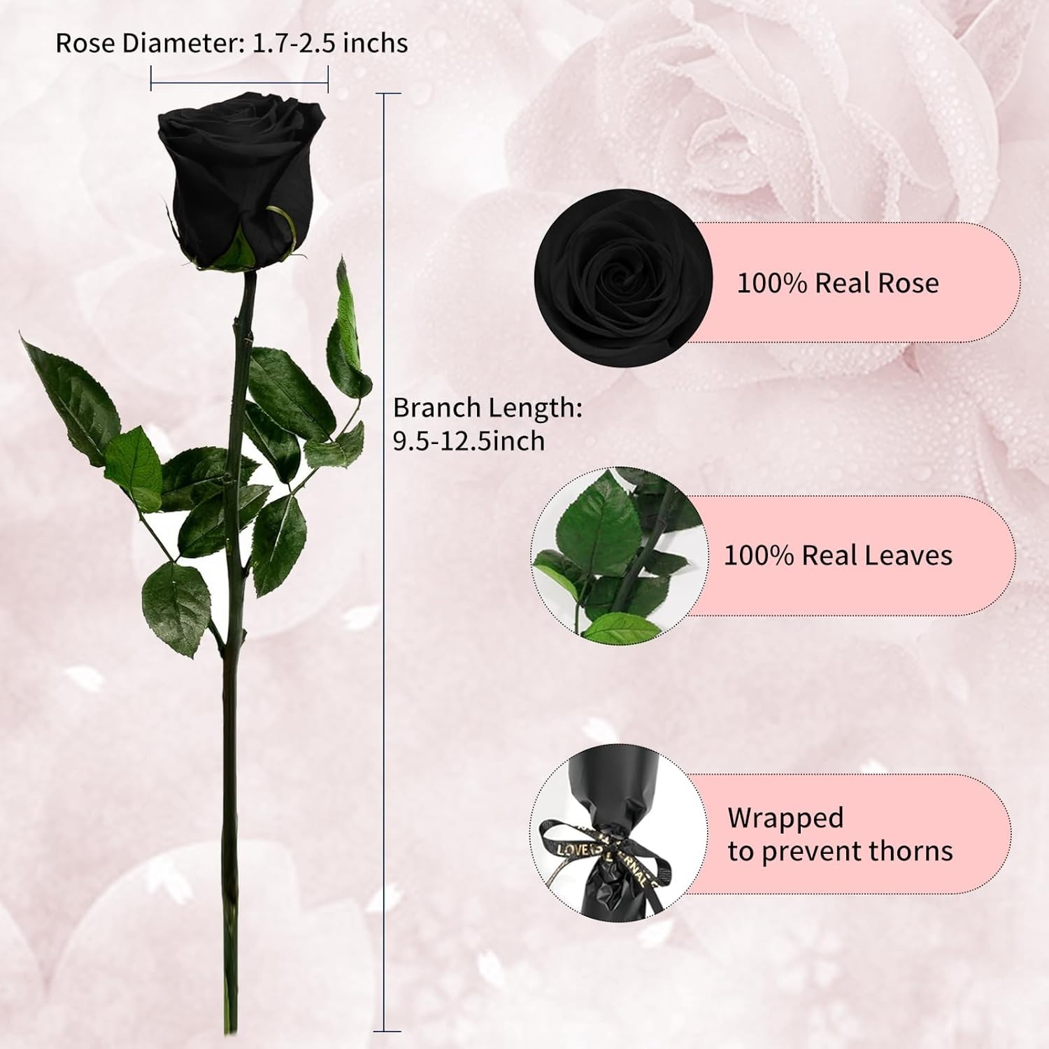 Black Preserved Roses for Delivery – Single Flower Gifts for Her