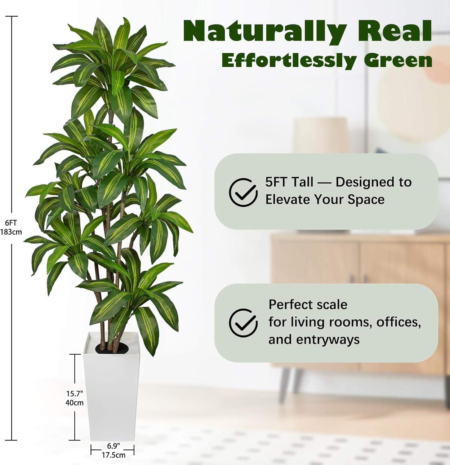 6FT Lifelike Artificial Dracaena Tree in White Pot for Home & Office Décor