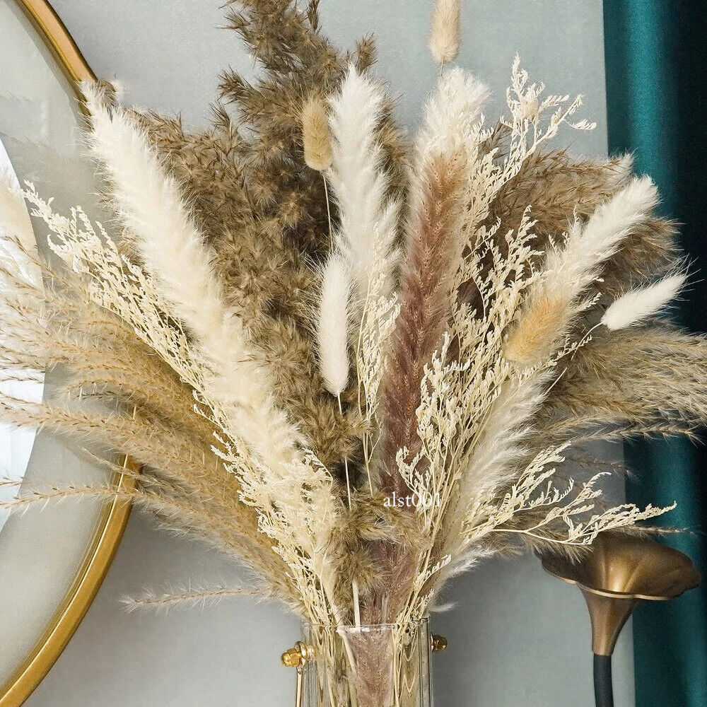 Grass Decor Home Decor Bouquet Natural Fluffy Dried Flowers for Wedding Floral