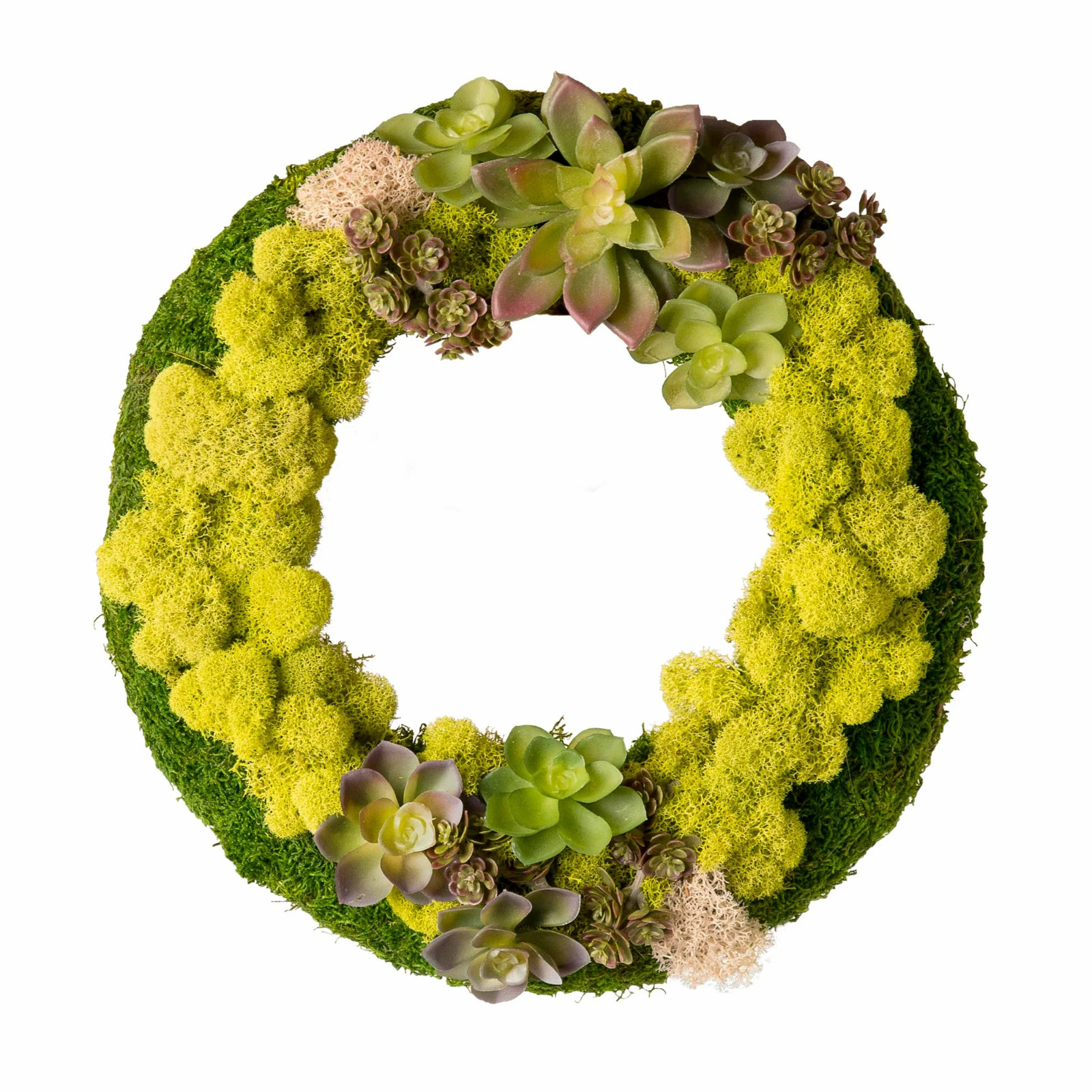 Reindeer Lichen Moss Terrariums Living Wall Railroad Scenery LOT x5 Chartreuse