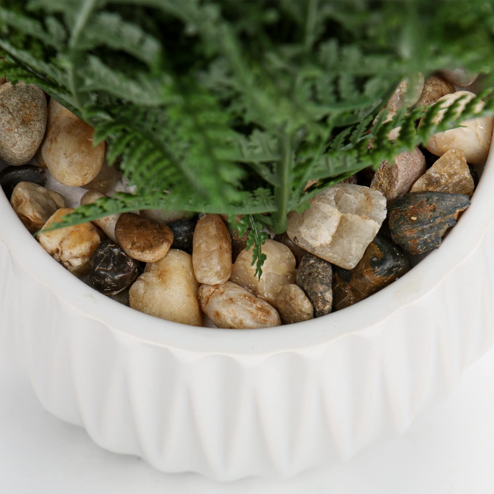 Faux Plant Indoor in Ceramic Pot 12″ Artificial Potted Fern Fake House Plants…