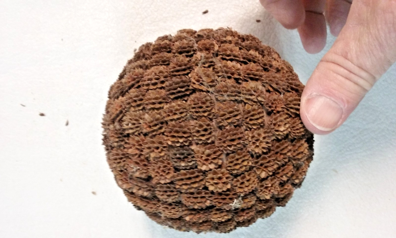 3 Brown Seed Pod Mosaic Decorative Ball Ornaments 5″ to 6″ & 4″ to 5″ wide