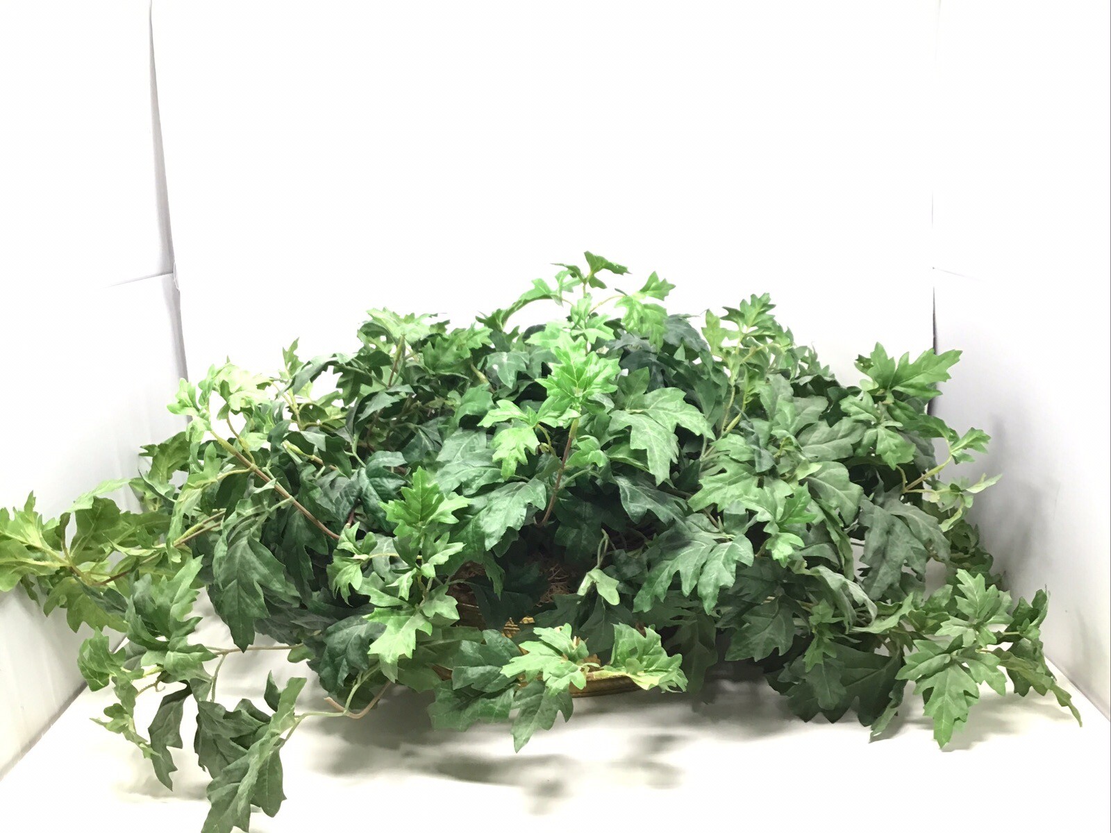 Large Artificial Silk Green Leafy Plant In Brass Hosley Planter