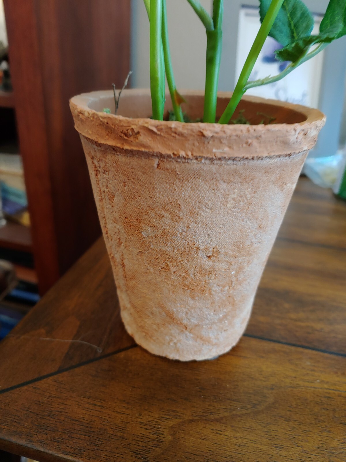 NEW Pottery Barn Faux White Roses in Terra Cotta Pot!! SOLD OUT!!