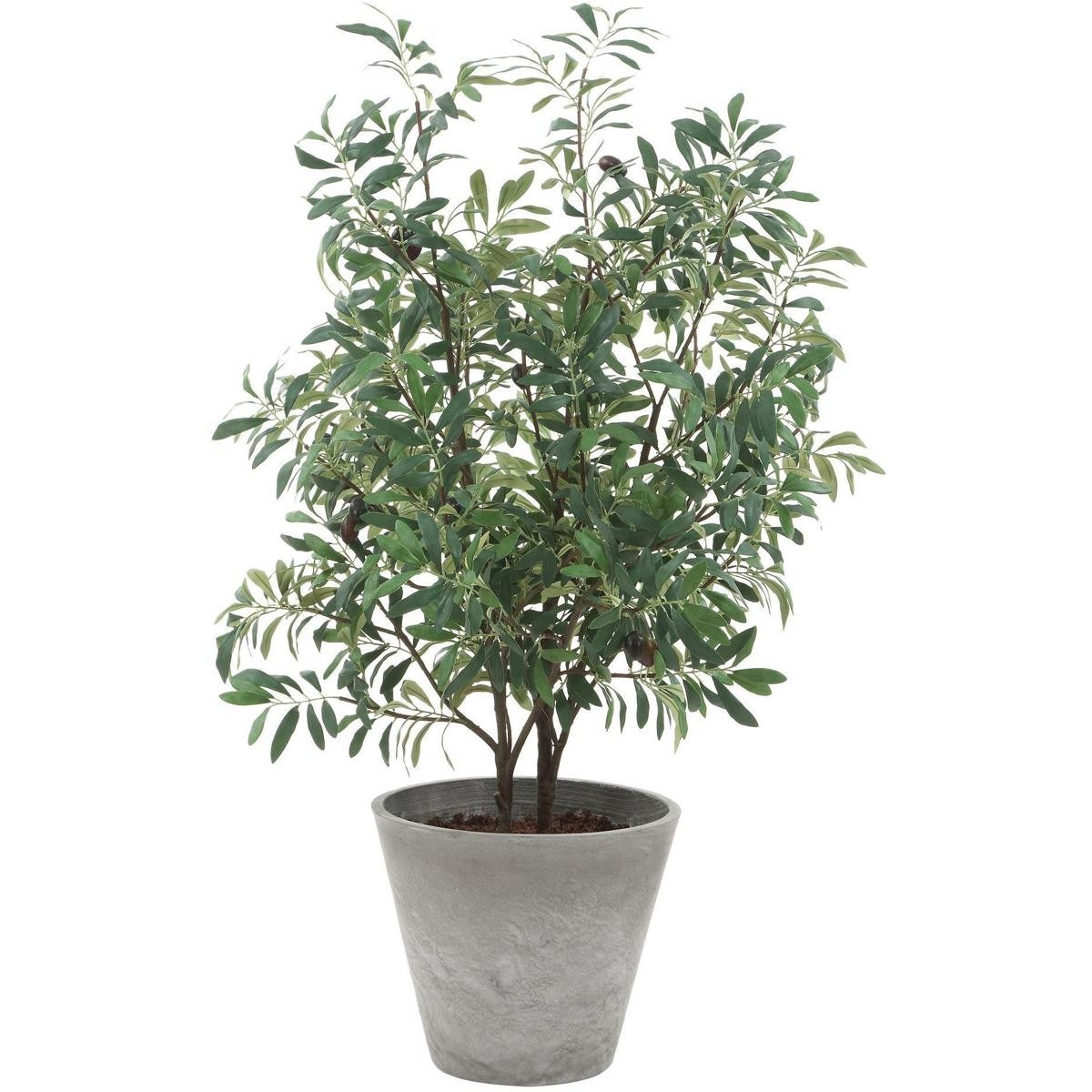 Uttermost 60268 Marisol Stone Gray and Green Potted Olive Plant