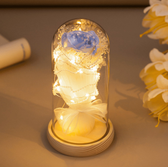 Preserved Rose Light Gifts in Glass Dome for Mom Wife LED Lights