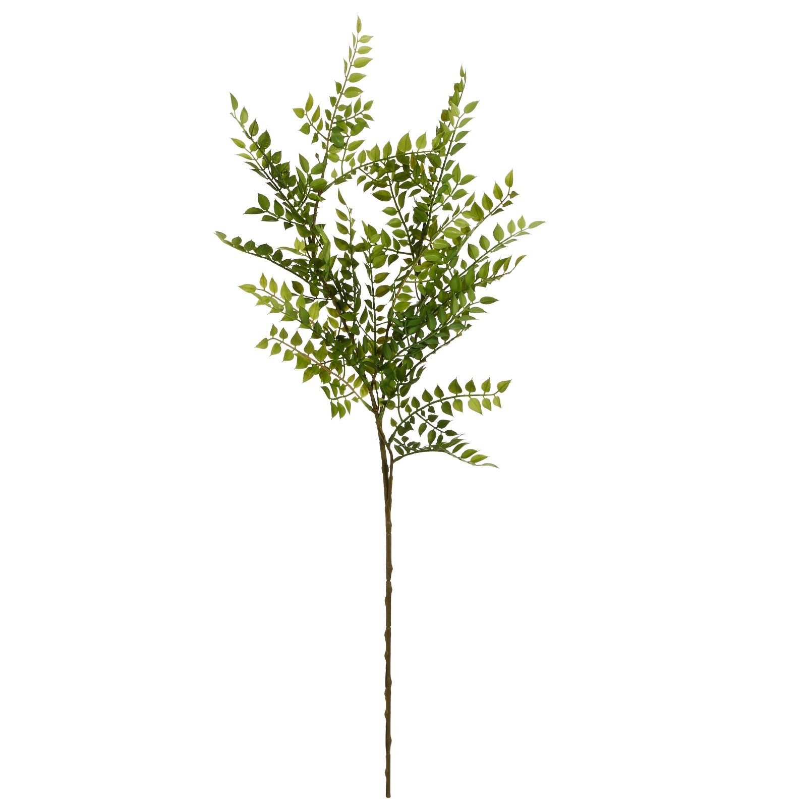 Raz Imports Ruscus Spray, 36.5″ (F4602208)