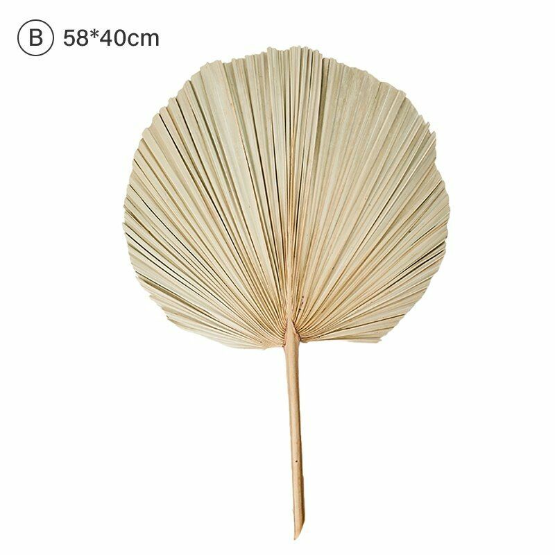 Natural Dried Flower Palm Leaf Fan Plant Party Wall Hanging Wedding Decor DIY