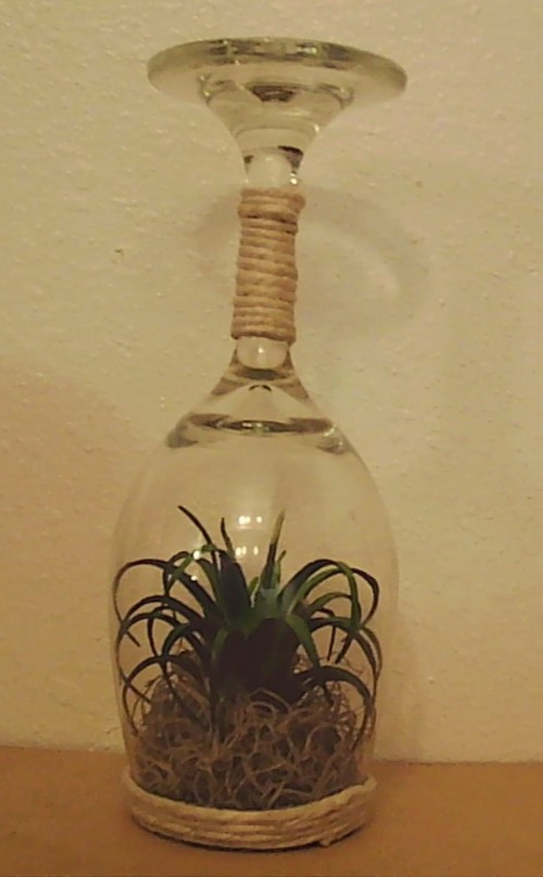 Champagne Glass Planter with Fake Succulent Home Decor 8″ tall