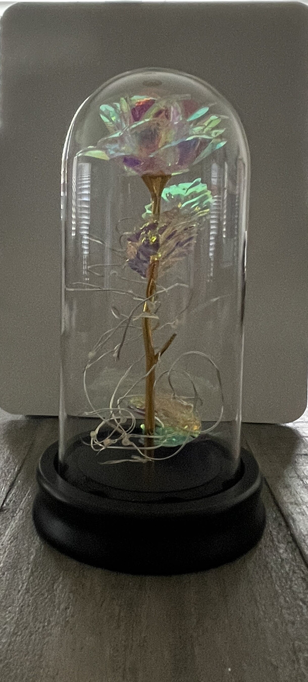 Lamden Crystal Galaxy Rose Flower with Warm/Multicolor Led String Light Open Box