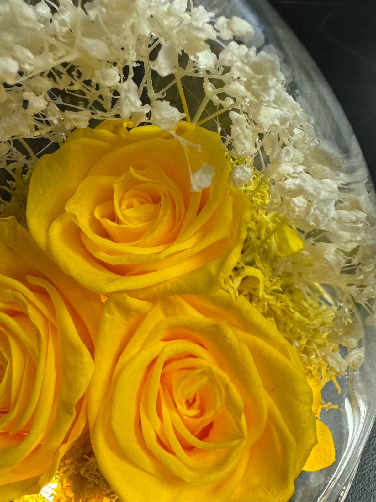 Mothers Day Mom Gift for her, Preserved Real Flower Rose in Large Glass Angel…