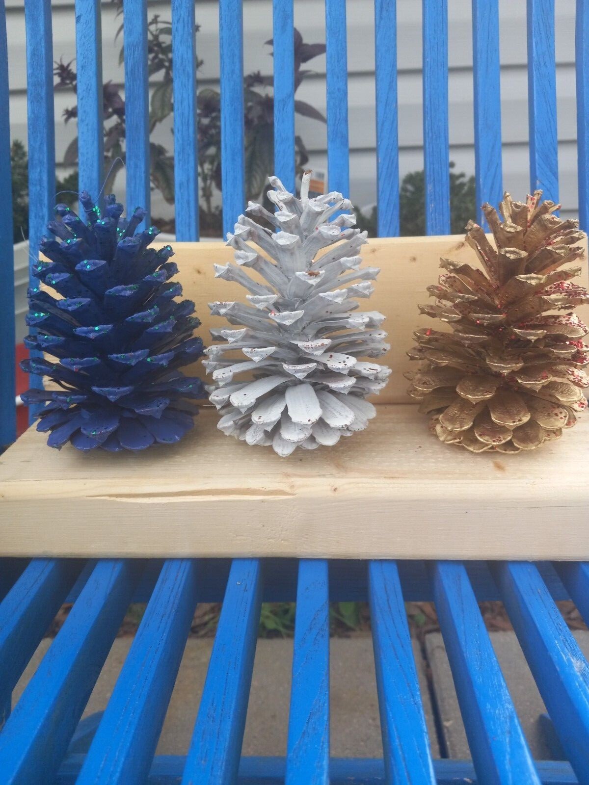 Hand painted pinecones,  various colors.  Set of 6 or 12. Fun holiday decor.