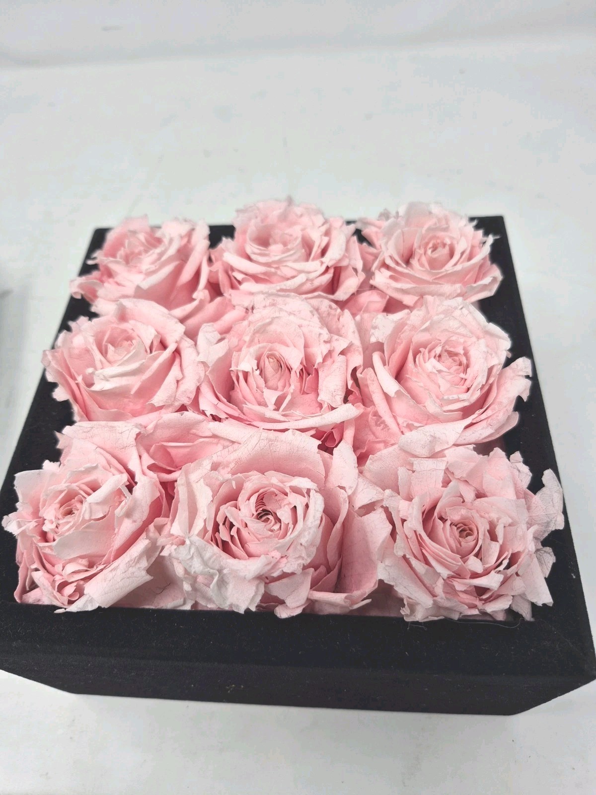 Rose Forever New York – Real Preserved 9 Pink Roses Black Square Velvet Box