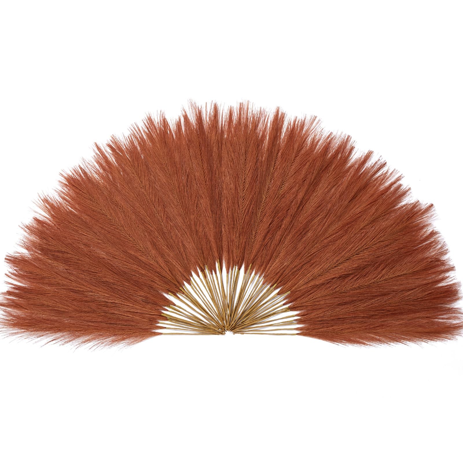 60PCS Burnt Orange Pampas, 17.7inch Terracotta Pampas Grass Decor, Fall Faux …