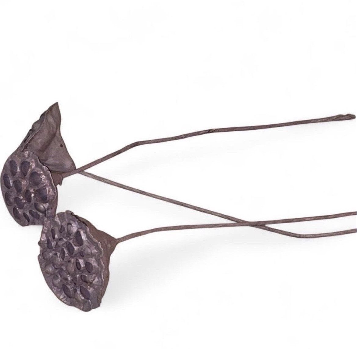Artificial Brown Lotus Pod Branch Arrangement & Centerpiece Botanical Decor
