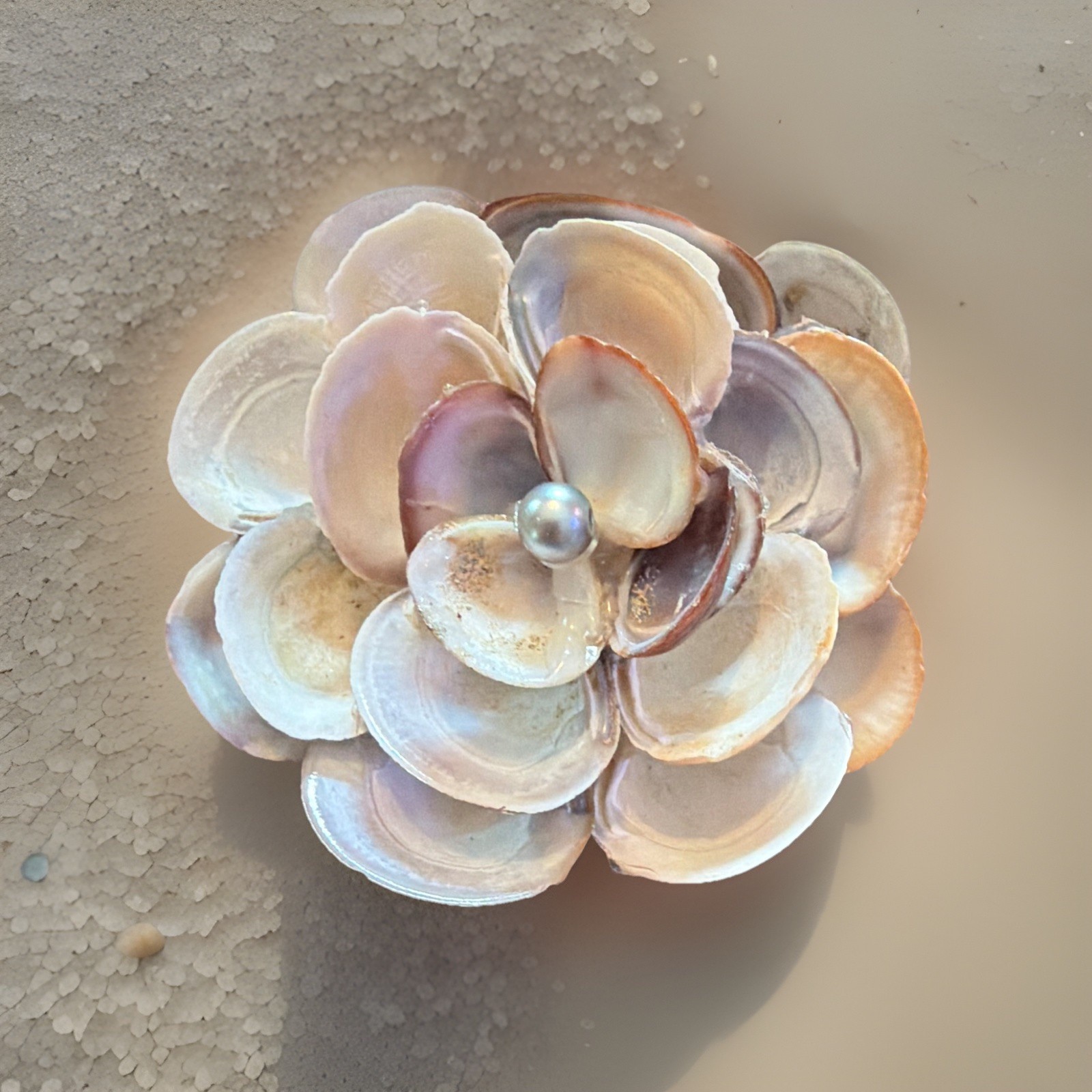 Handmade Sea shell flowers 30$ for this one Smaller ones 20$
