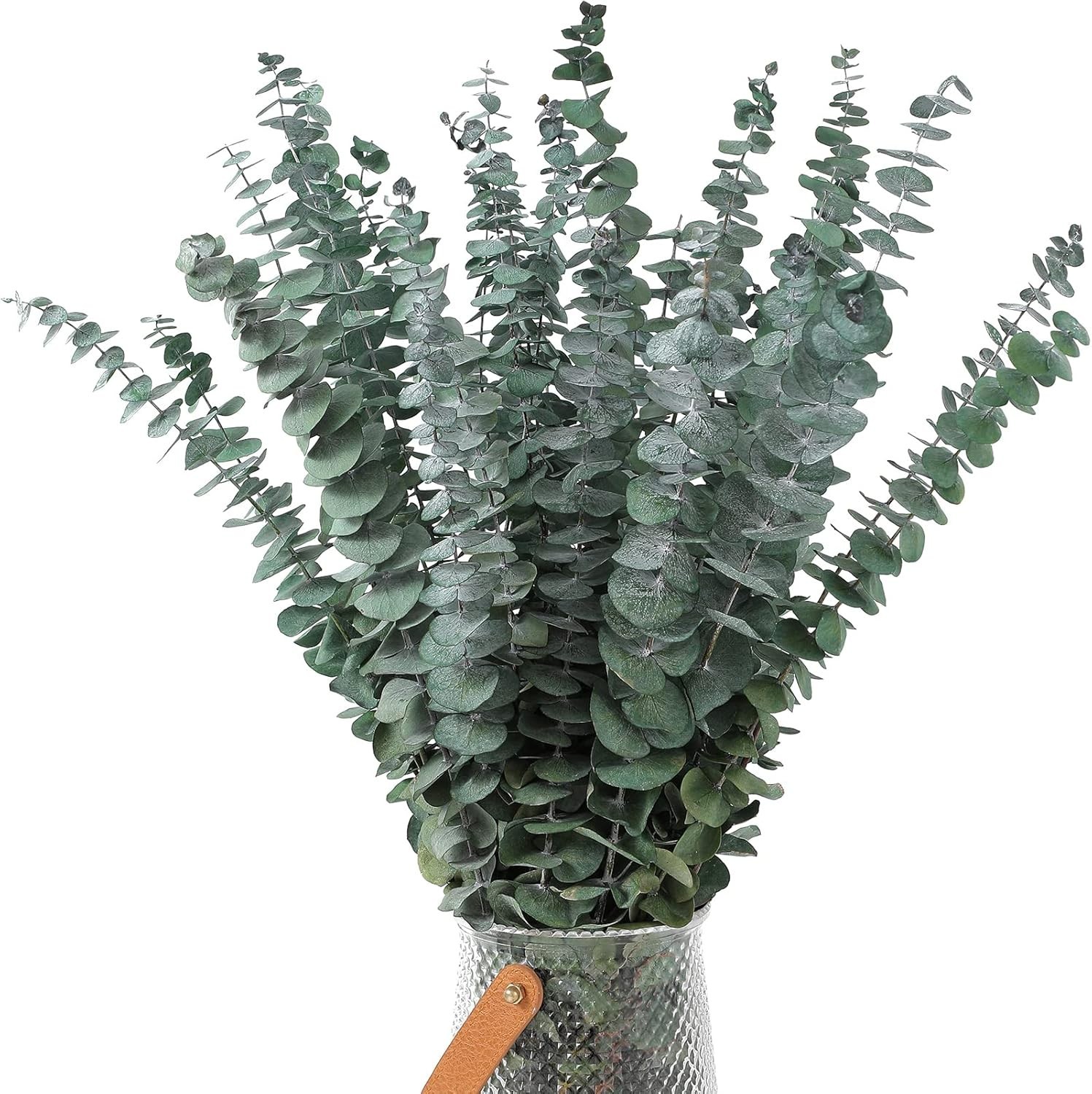 Elegant 30 Pcs Dried Eucalyptus Stems, 17″ Natural Decor for Weddings & More