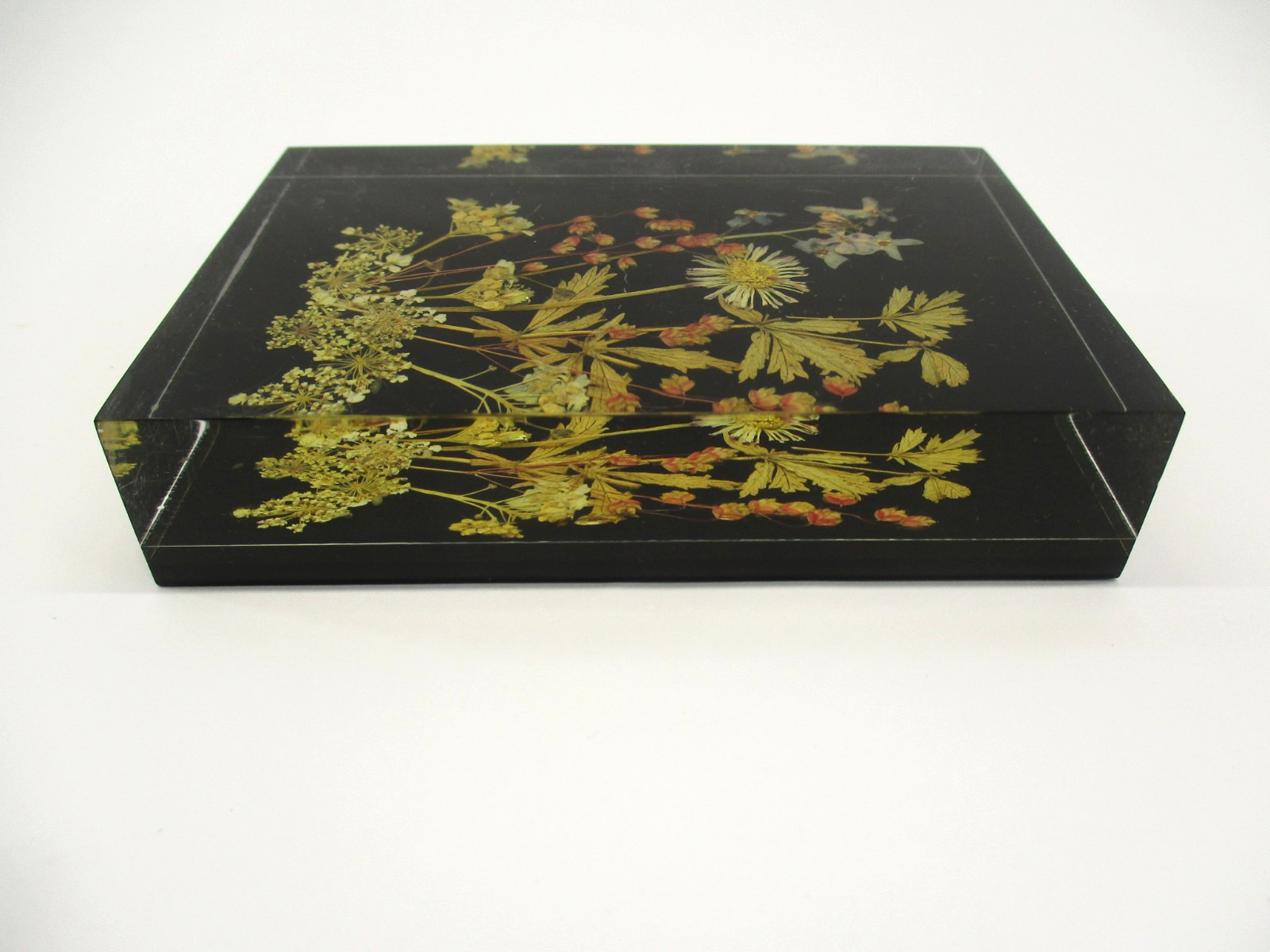 Vtg Lucite Pressed Dried Flowers DINA-Brilliant #1710 10×7 cm W. Germany Picture